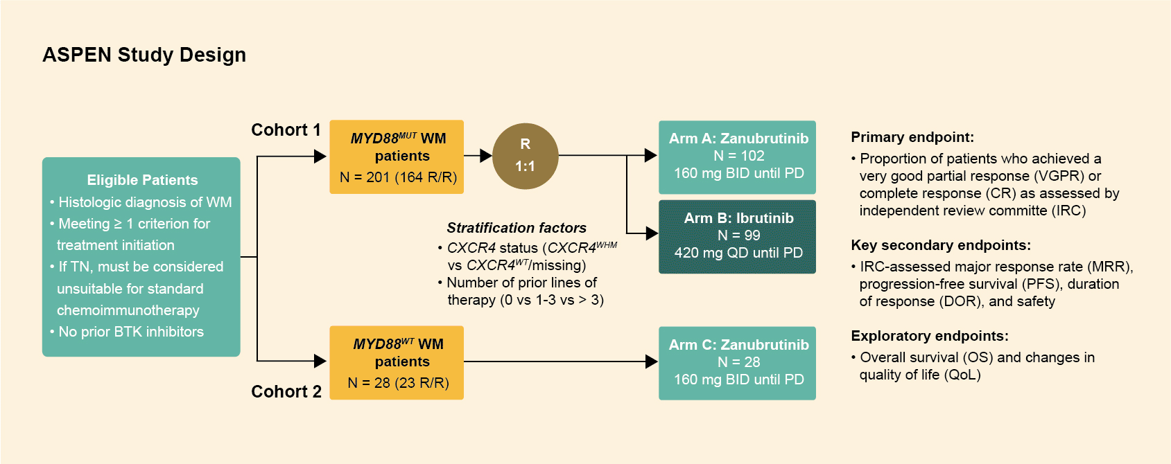 ASPEN Study Design: Waldenström's macroglobulinemia