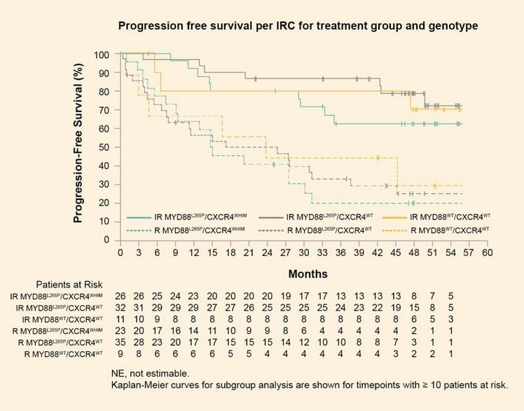 Progression free survival per IRC for treatment group and genotype